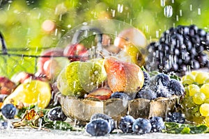 Ripe fruits on the table in the garden during to summer rain