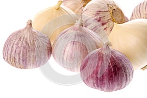 Ripe garlic bulbs