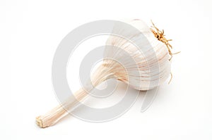 Ripe garlic on white background