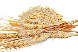 Ripe golden color wheat spike and grains isolated