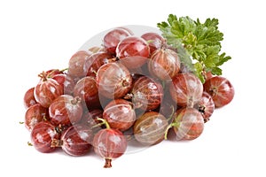 Ripe gooseberries close-up on a white background, horizontal view