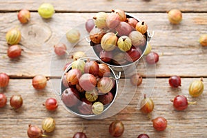 gooseberries fruit