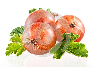 Ripe gooseberry with leaves isolated