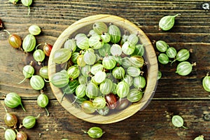 Ripe gooseberry in a plate photo