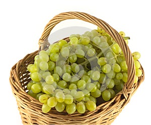 Ripe grape bunches in wicker basket isolated close up