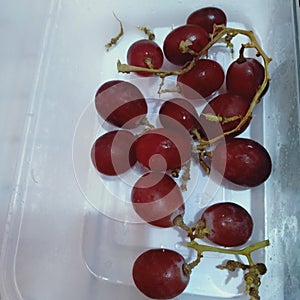 Ripe grape stalks are ready to eat