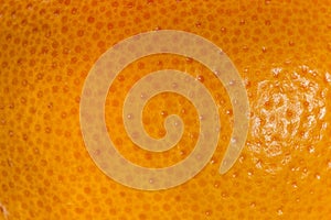 Grapefruit peel macro close up