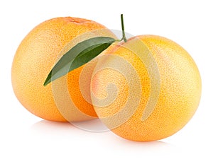 Ripe grapefruits