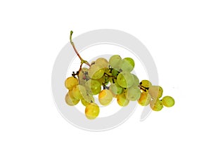 ripe grapes isolated on white background