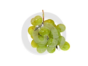 ripe grapes isolated on white background