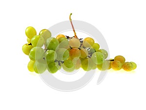 ripe grapes isolated on white background