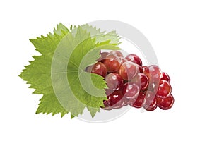 Ripe grapes with leaf