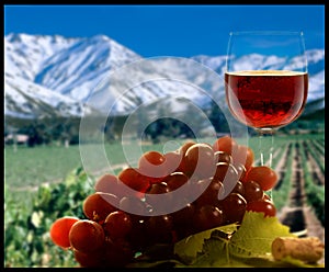 Ripe grapes, wine glasses and bottles of wine corkscrew  on white