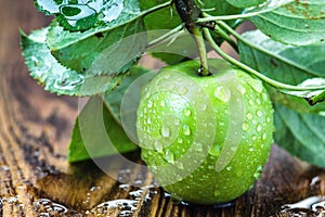 A ripe green apple with water droplets and leaves on the wooden table, macro in selective focus.