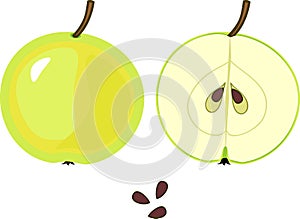 Ripe green apple, whole and in longitudinal section