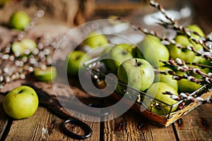Ripe green apples and apple slices on wooden gray background, to