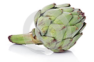 Ripe green artichoke vegetable isolated