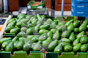 Ripe green Avocados