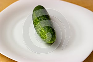 Ripe green cucumber on a white glossy plate