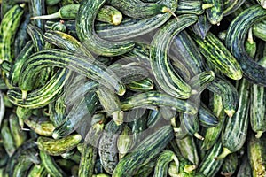 Ripe green cucumbers