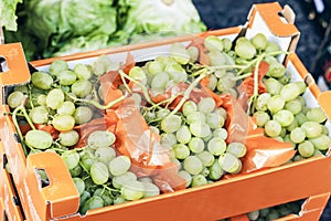 Ripe green grapes in the fruit market of Catania, Sicily, Italy