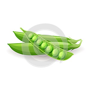 Ripe green pods with peas icon isolated on white background, vector illustration.