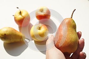 Ripe green red pear in female hand. White sunny table with apples and pears on the background