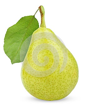 Ripe green yellow pear fruit with leaf