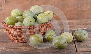 Ripe greengage