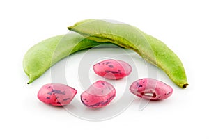 Ripe Haricot Beans with Seed Isolated on White