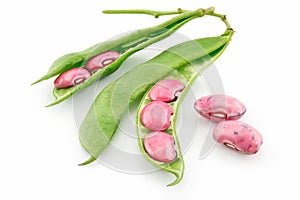 Ripe Haricot Beans with Seed and Leaves Isolated photo