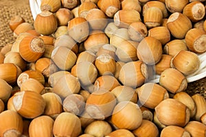 Ripe hazelnuts in a peel on a background of old burlap