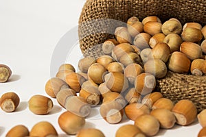 Ripe hazelnuts in a peel on a white background