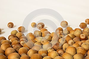 Ripe hazelnuts in a peel on a white background