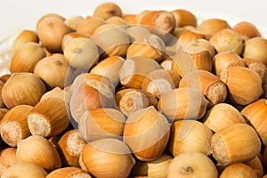 Ripe hazelnuts in a peel on a white background