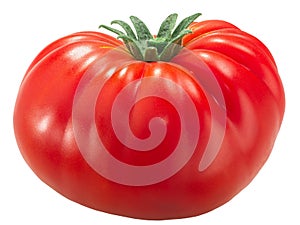 Ripe heirloom wrinkled beefsteak tomato Solanum lycopersicum fruit  isolated