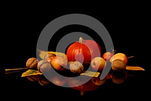 Ripe Hokkaido pumpkin, walnuts and ripe wild apples with yellow autumn leaves isolated on black background