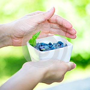 Ripe Honeysuckle Berries in Bowl