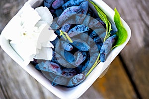 Ripe Honeysuckle Berries in Bowl