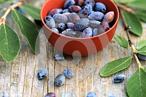 Ripe Honeysuckle berries in bowl on wooden surface