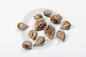 Ripe Juglans cordiformis Maxim or heart-shaped walnut isolated on white background