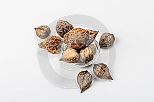 Ripe Juglans cordiformis Maxim or heart-shaped walnut isolated on white background