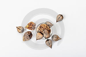 Ripe Juglans cordiformis Maxim or heart-shaped walnut isolated on white background