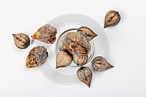 Ripe Juglans cordiformis Maxim or heart-shaped walnut isolated on white background