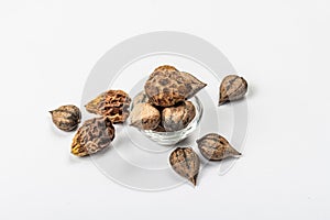 Ripe Juglans cordiformis Maxim or heart-shaped walnut isolated on white background