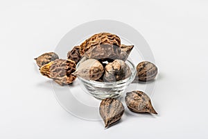 Ripe Juglans cordiformis Maxim or heart-shaped walnut isolated on white background photo