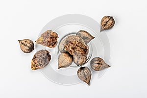 Ripe Juglans cordiformis Maxim or heart-shaped walnut isolated on white background photo