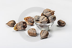 Ripe Juglans cordiformis Maxim or heart-shaped walnut isolated on white background photo