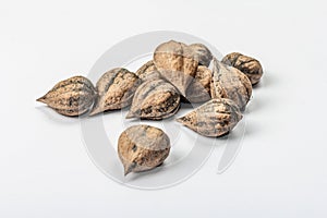 Ripe Juglans cordiformis Maxim or heart-shaped walnut isolated on white background photo