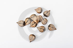 Ripe Juglans cordiformis Maxim or heart-shaped walnut isolated on white background photo